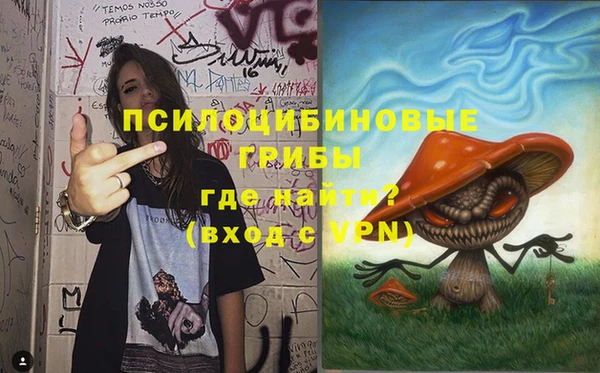 ПСИЛОЦИБИНОВЫЕ ГРИБЫ Абинск